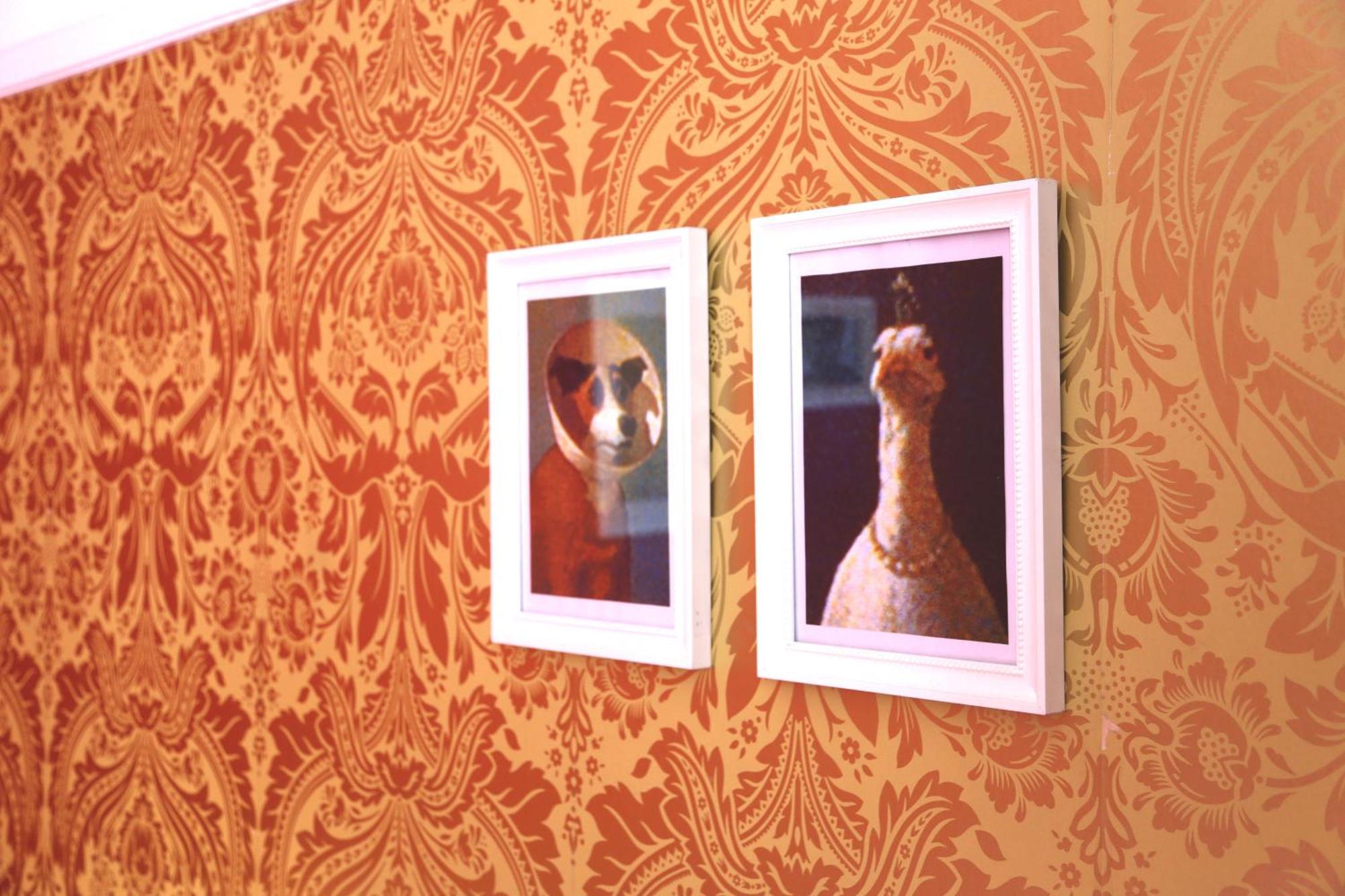 Rivoli Cinema Hostel بورتو الغرفة الصورة Wallpaper